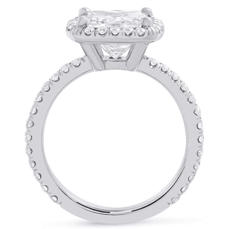 Harry deals winston halo
